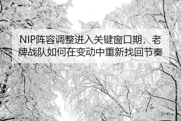 NIP阵容调整进入关键窗口期，老牌战队如何在变动中重新找回节奏